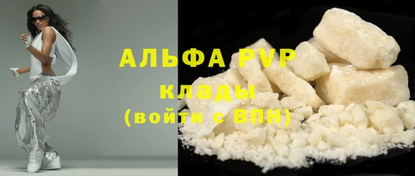 стаф Алексин