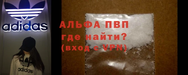 стаф Алексин