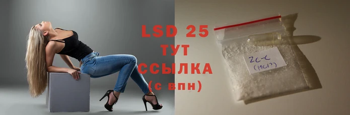 стаф Алексин
