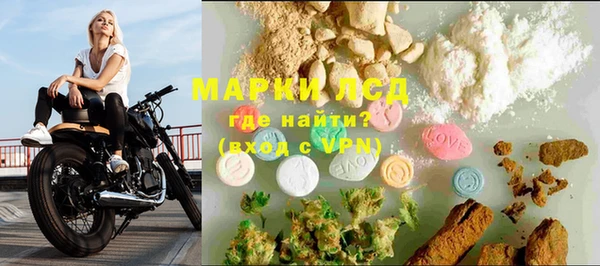 стаф Алексин
