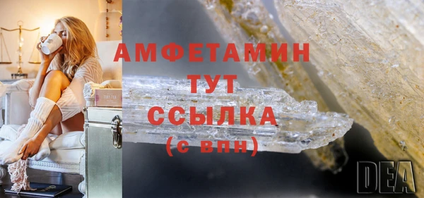 стаф Алексин