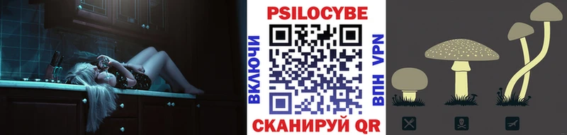 Псилоцибиновые грибы Psilocybe  Катайск 